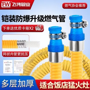 Household Natural Gas Pipe Liquefied Gas Pipe Gas Pipe Gas Bottle Stove Connecting Pipe Anti-Rat Bite Metal Explosion-Proof Hose