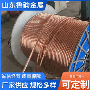 Hard Copper Stranded Wire, Tinned Copper Stranded Wire Tj-, Grounding Copper Cable, Pure Copper Grounding Wire, Factory Direct Sales