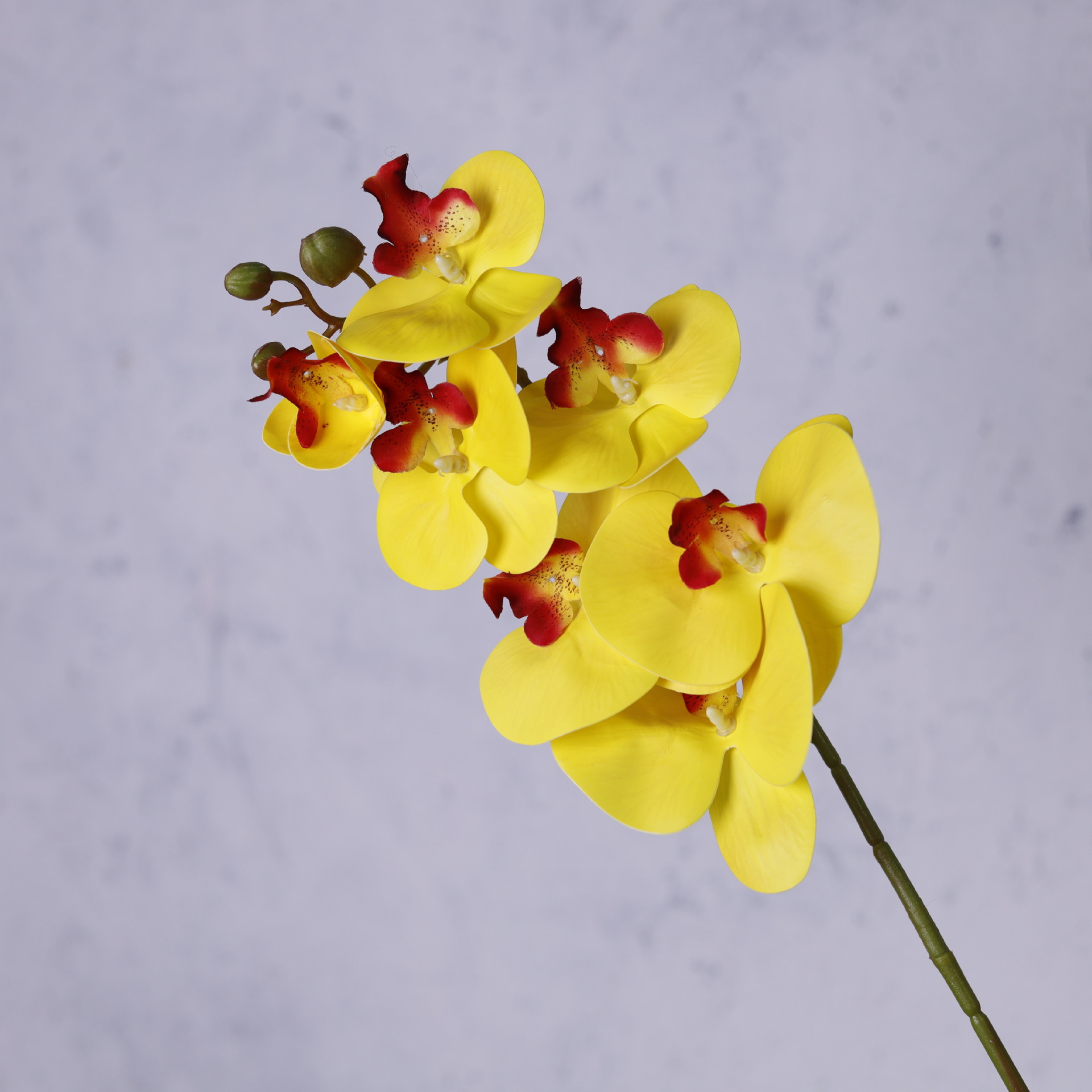 Impresión 3D de 7 cabezas de orquídeas mariposa flor de decoración de flores de alto nivel flor de nicho decoración floral decoración de sala de estar