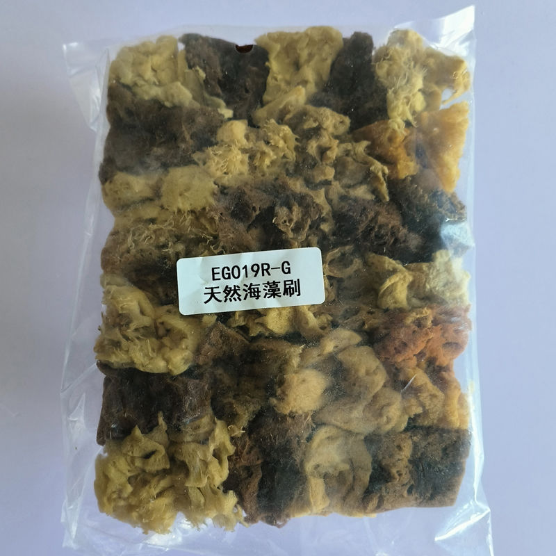 天然海藻拍艺术涂料万用艺术漆硅藻泥贝壳粉工具三色珠光