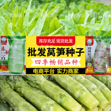 ����t�~�n�ķN�����ļ��t�n�S�N�ӼtƤ�n�S�N�Ӱ��n�S�N�߲���