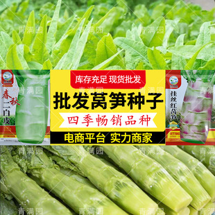 ����t�~�n�ķN�����ļ��t�n�S�N�ӼtƤ�n�S�N�Ӱ��n�S�N�߲���