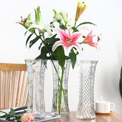Creative Large Transparent Hexagonal Glass Vase for Lucky Bamboo and Lily Flowers, Flower Arrangement Vase for Home Living Room Décor