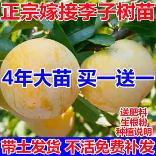 �������Ә����ϱ����NֲͥԺ�������쮔��Y��Ó�����A���ӹ�����