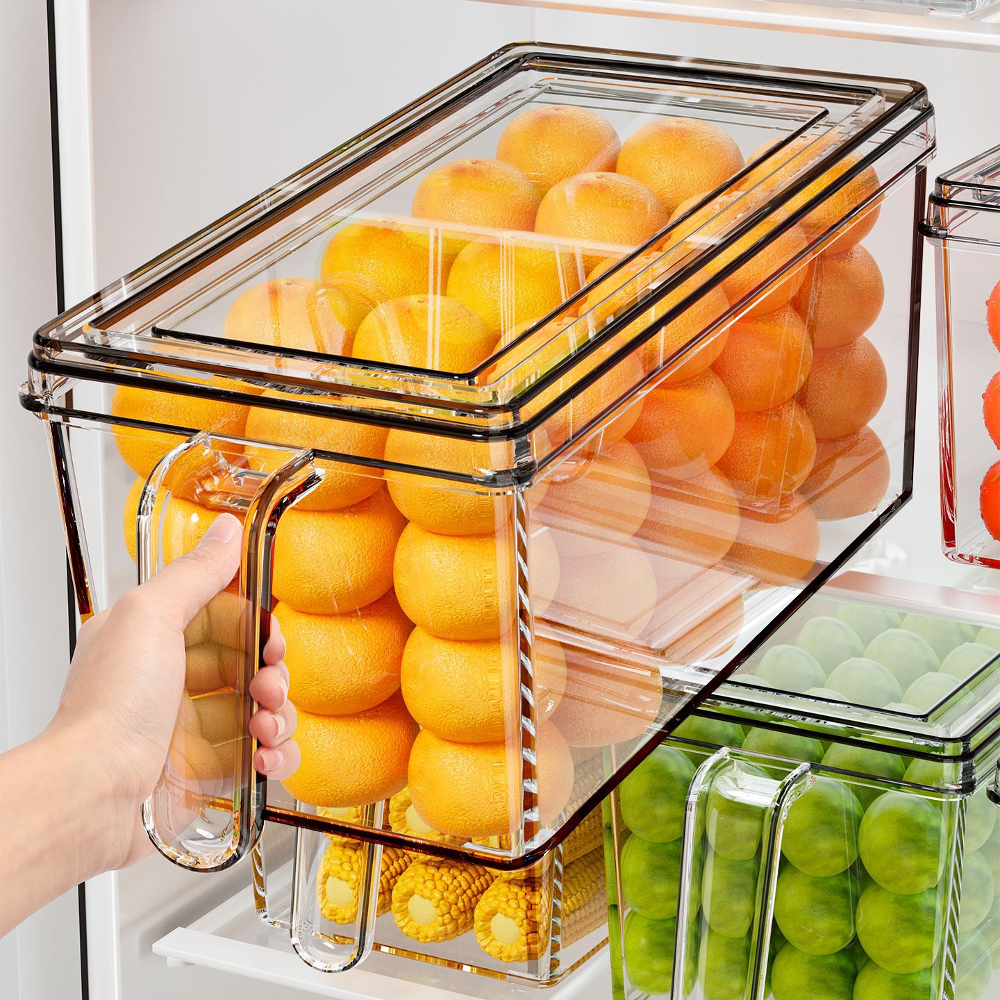 Refrigerator Organizer Box Egg Storage Box Freezer Crisper Kitchen Vegetable and Fruit Special Organizer Food Grade