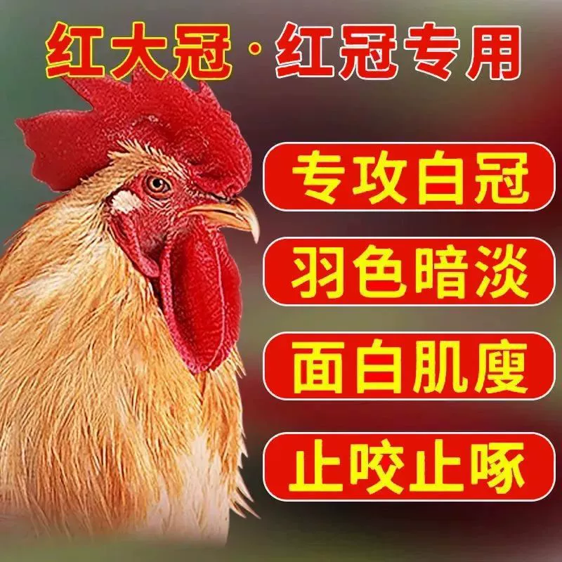 Красноохренная птица с красными перьями, яркая лечебная курица, большая красная корона, защита от клювания, клювание ануса, длинные перья, педали, стимуляция роста оптом
