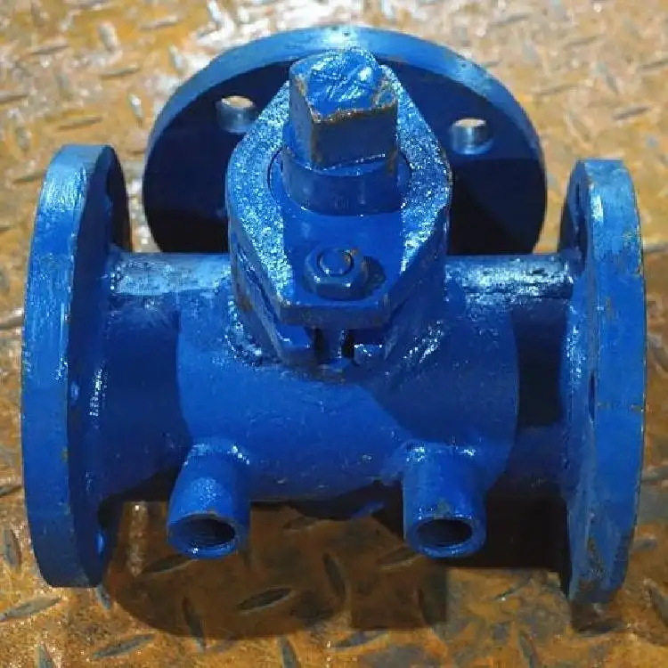 浙江温州BGL41H保温Y型过滤器