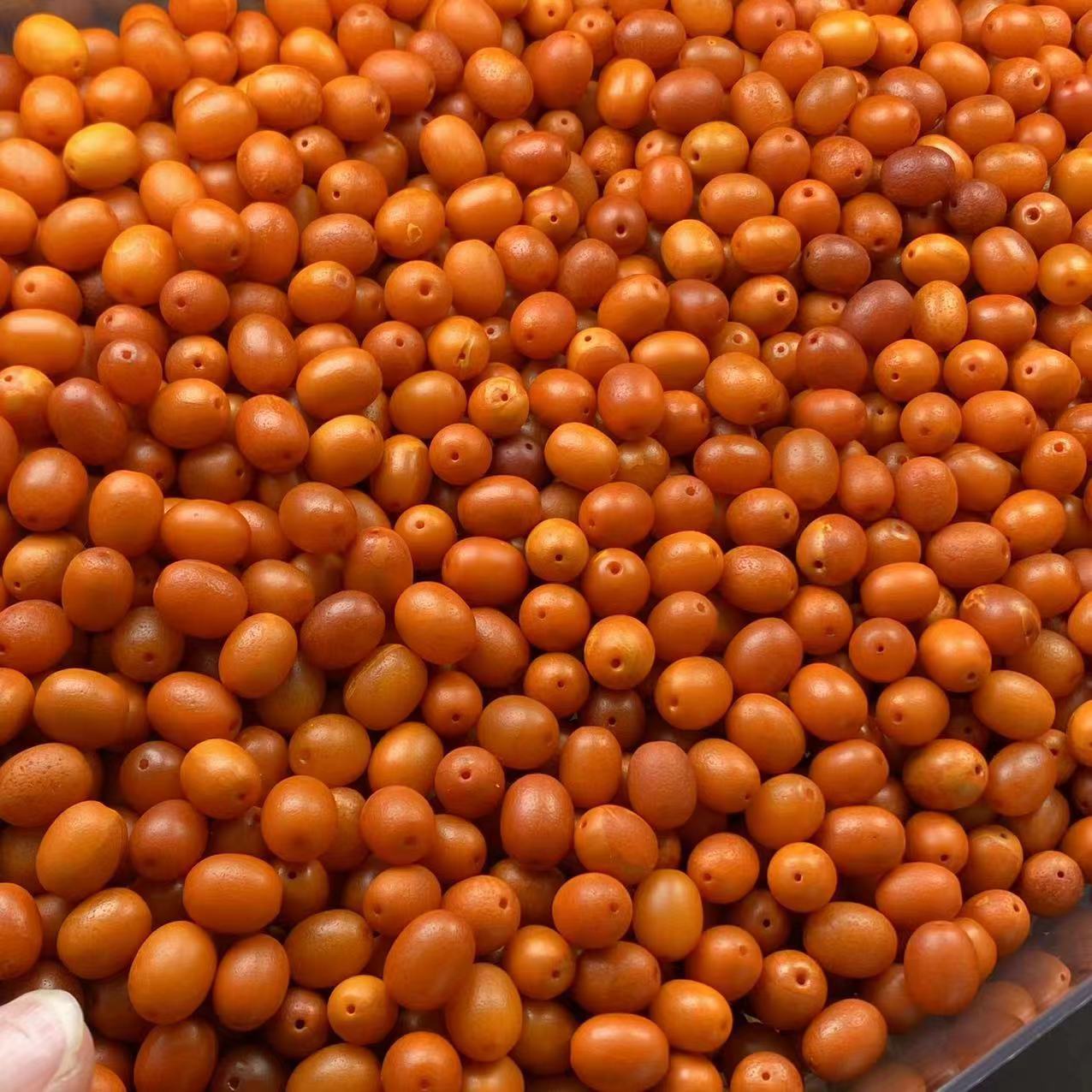 微信图片_20240425234237