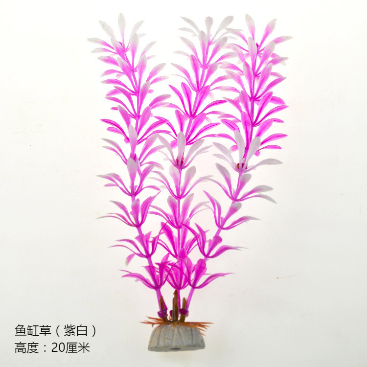 O1CN01A6o9oz1KVtxVP42vg_!!1035