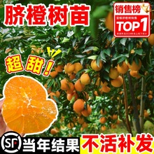 �M��Ě�ȹ���ɳ�ǽ��Ә�����ӹ���ͥԺ�޽�ˮ������t��Ѫ������