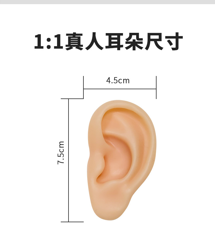 硅胶耳详情页_02.jpg
