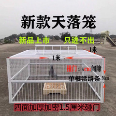 ハトの神器ハトの天落籠はハトの籠に入ることができません。