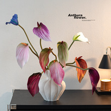 ��Ʒ�|�ָ��^��ܛ�z��t�Ʒ��滨�ٻ��Z��Ī�m�ϻ�ˇ�仨�zӰ����