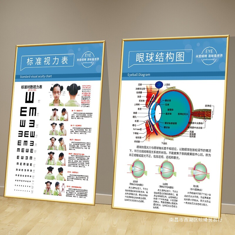 眼鏡店の壁面装飾画眼科病院は目の構造を描いています。|undefined