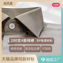 200支全棉男士衬衫长袖卡其色新疆棉DP免烫高档商务休闲内搭衬衣