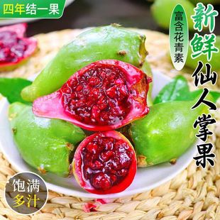 �������rҰ�������ƹ���2������ �������Ꭷϡ��Ź֛]���^��ˮ��