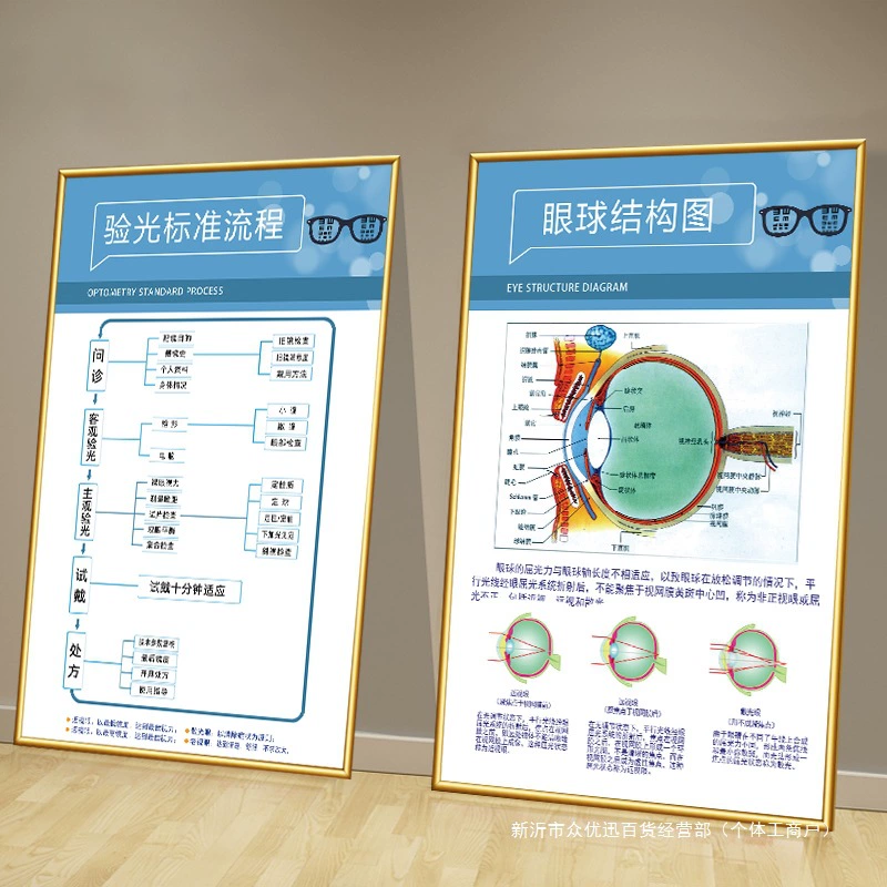 Схема потока оптометрии, клиника глазной больницы, плакат с очками, рекламная подвесная картина, декоративная картина для магазина очков, диаграмма структуры глазного яблока