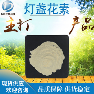 �F؛98%���K���� ���]���K����ȡ��Ұ�S�������ؼ������K������