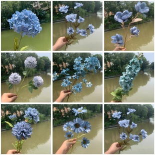 ��c�{ɫϵ���滨�� ��Y��õ��Ƶ�·�����żٻ��b��S�����l