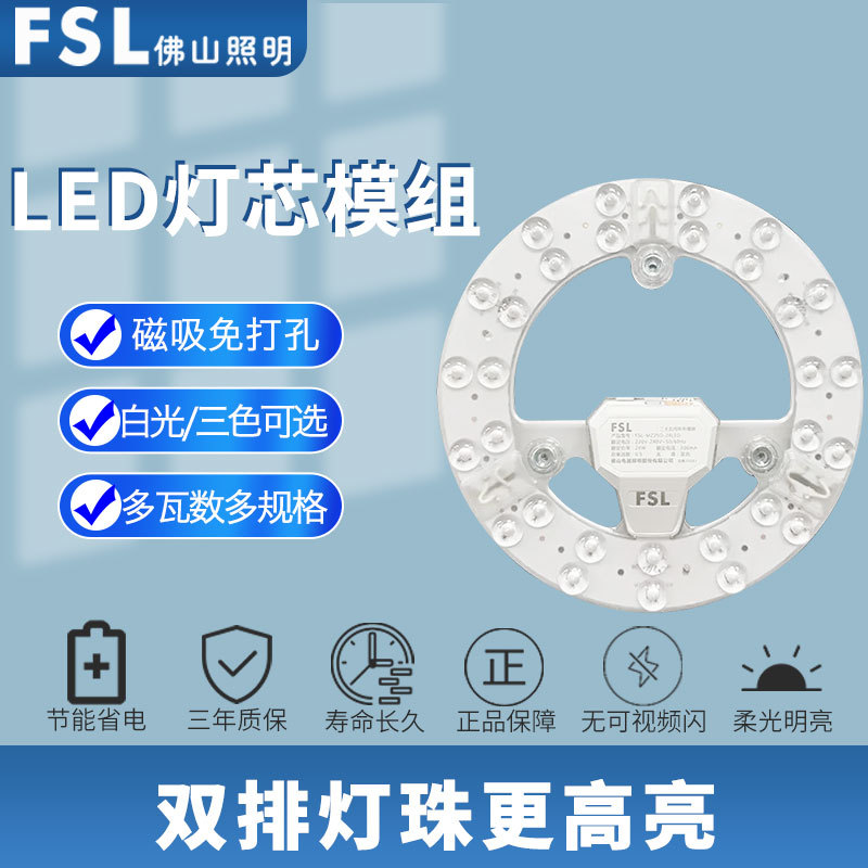 FSL һ  õ  LED  ü  г  ڱ        г