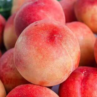 ���ڴ�ѩˮ�������r�����ЋDˮ���Fժ����ë����S���]һ�����l