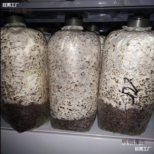 ʳ�þ��N�����N����Nƽ���������N�����`֥�����乽���NĢ��̫��