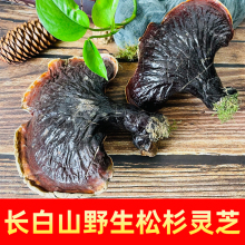 Ұ`֥LɽҰ`֥؛`֥`֥֦