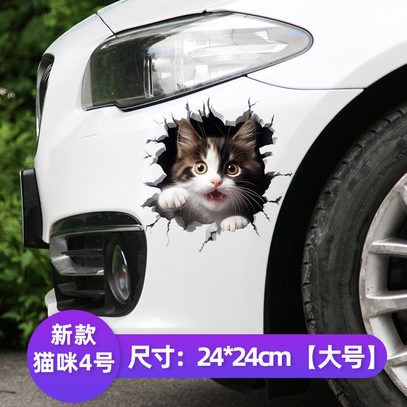 뉴캣 4호 [24cm] 3D 하이트루