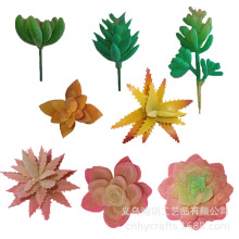 ֲ�q����ֲ��廨����ٶ������ϻ��b�ֲ������ �������