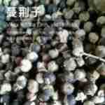 ��Ӧ�����Ӵ�¶ ����������  ��¶���� ��ӭ��ѯ��ⱸ��������