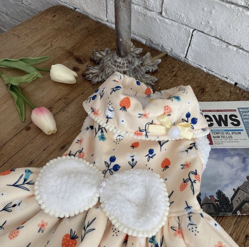 Princess Style Spring and Autumn Warm Thick Dog Dress Cat Two-Paw Skirt for Small and Medium Dogs Pet Dog Clothes