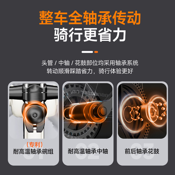 Mountain bike for adults for men and women