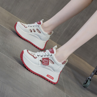 Ƥ���U���ϵ�ЬŮ2025�ļ��¿����e�r�оW�t��������ߺ��Ů��Ь