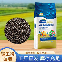 �����ЙC���w�� 5�|���� �ߘ�׼�r���÷� ΢������ʏS��S����S