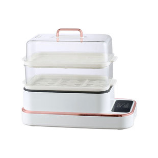 Ritfei All-In-One Electric Steamer Llg-800A