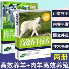 2���B���g���� ��ȫ��Ч�B���g����ƌW���B��B�����򲡿���