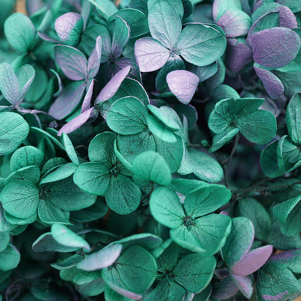 Flor mágica Diy Flor eterna A Material de hortensia de madera 100g Material de flor real Flor seca Unicornio Sentido avanzado Matrimonio en casa