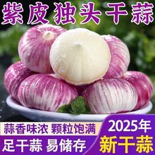 紫皮独头蒜大果红皮老品种香蒜大蒜头批发价源工厂一件批发厂批发