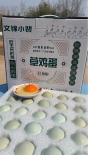 �G���u�� �u��ֱ�l���u��