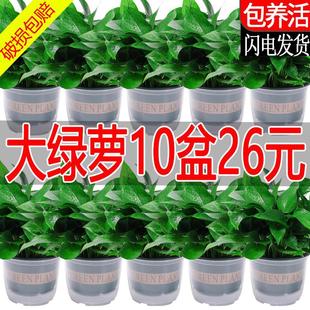 �G�}�����҃�����ȩֲ���k���ҿ͏d�����՚⻨�ܾGֲ���B�L�پG�j