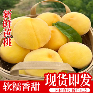 �����S��ë��5���������r�����ЋDˮ��10���]���l3�SƤ�S��ë����