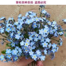 �����һ��N�{ɫ��������ϵ�ж䃺�ң�