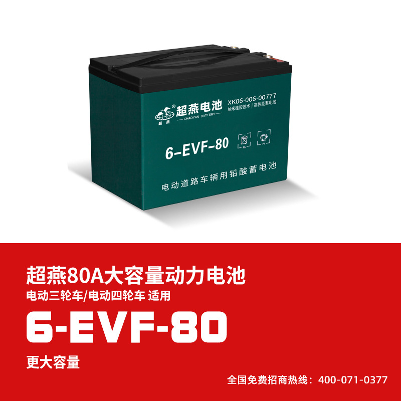 ҹӦ綯  48V 65AH 80AH ά6-EVF-80