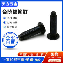东莞市厂家定制圆头钉平头铆钉黑色实心台阶钉机械工业紧固件批发