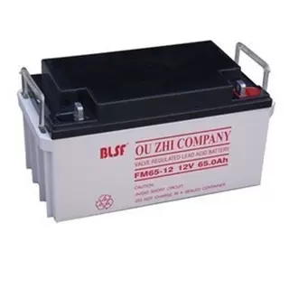 BLSF保利时蓄电池FM150-12 12V150AH海岛供电系统