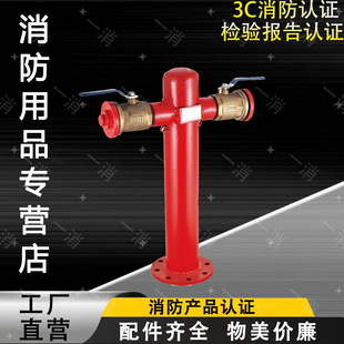 Factory direct fire equipment foam fire hydrant foam floor hydrant foam hydrant PS100-65X2 wholesale supply
