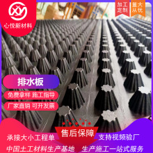 厂家供应车库顶板楼顶花园20黑色塑料疏水滤水透水蓄排水板抗压