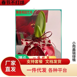 ���l�N���^��ֲ�����Ի�����피t�N��� ����ɏ ��ͦ�� �����_��