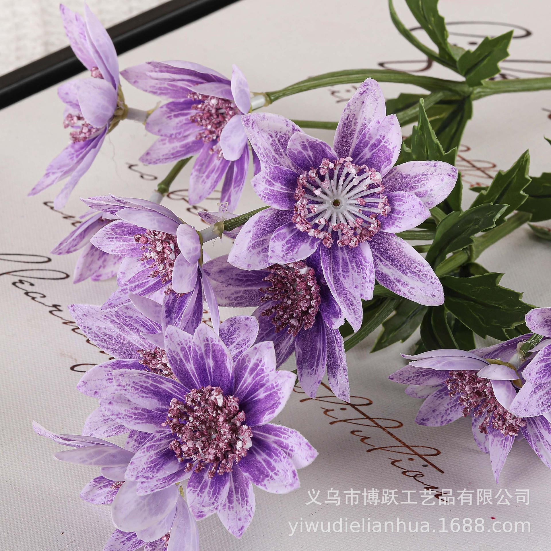 Фиолетовая орхидея