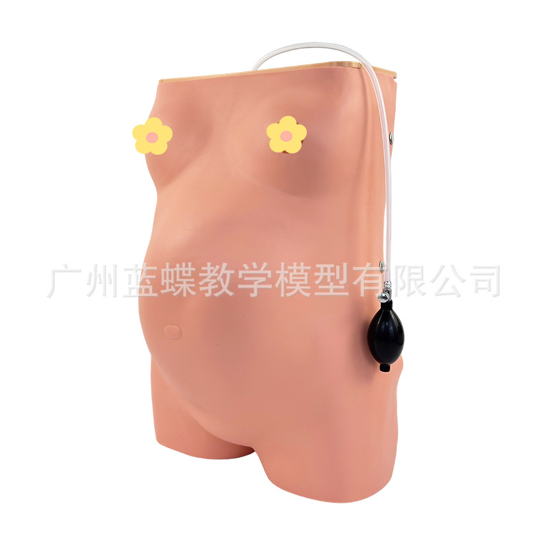 �߼������и����ģ�Ϳ���̥���Ķθ�������̥����������ѵ��ģ��